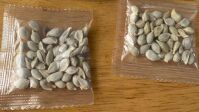 States Issue Warnings About Seed Packets From China